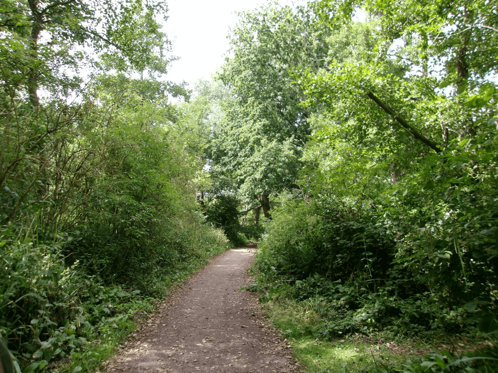 Walking  &Talking Therapy Near Sevenoaks